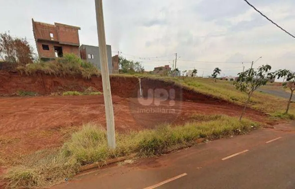 Terreno, 250 m² - Foto 2