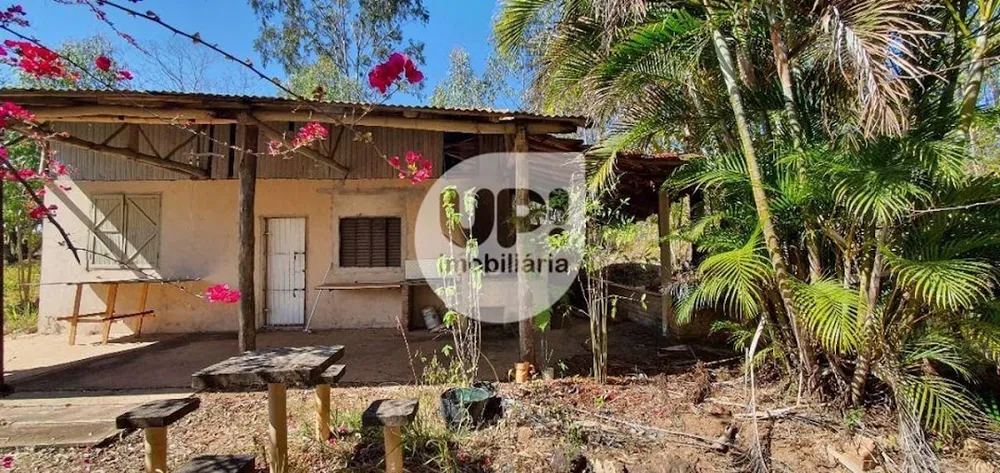 Terreno, 2 hectares - Foto 7
