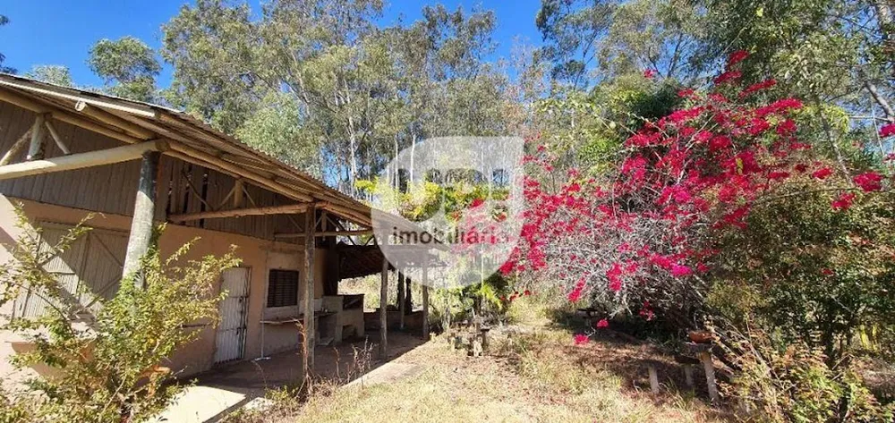 Terreno, 2 hectares - Foto 7