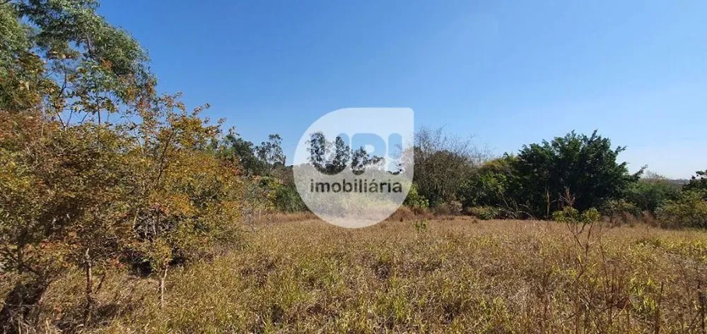Terreno, 2 hectares - Foto 8