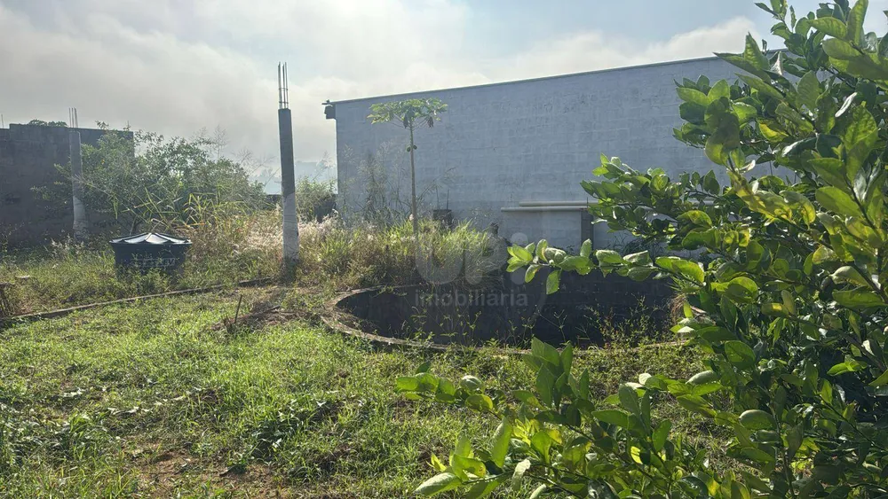 Chácara, 2 quartos, 500 m² - Foto 7