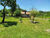 Chácara, 1 quarto, 2000 m² - Foto 3