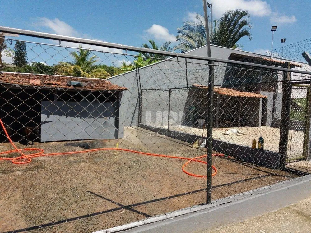Chácara, 2 quartos, 1063 m² - Foto 15