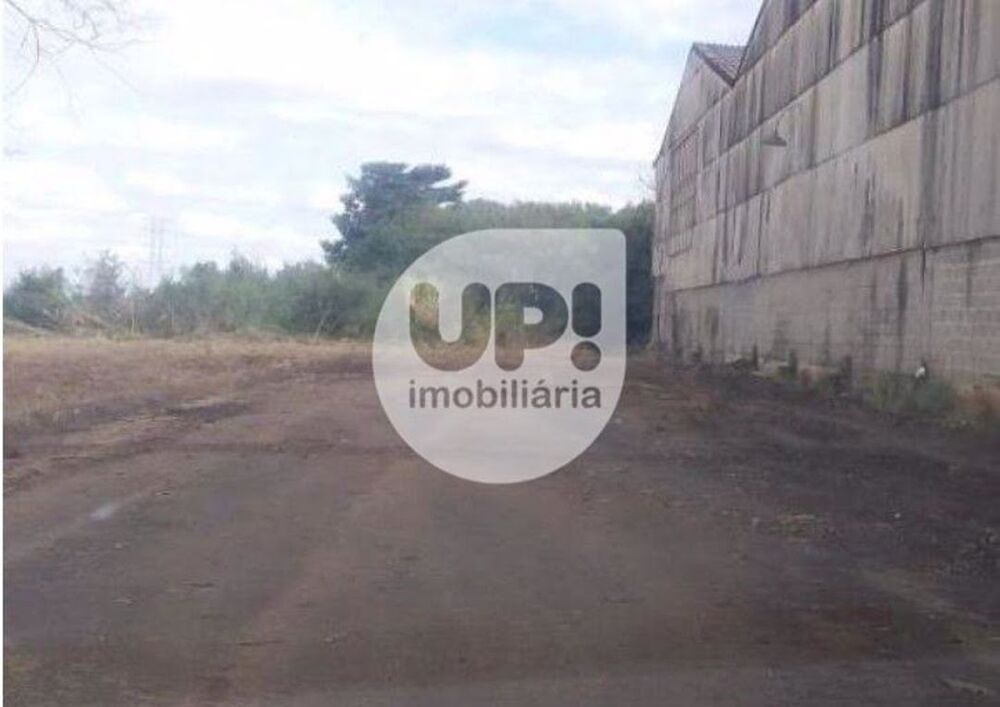 Depósito-Galpão-Armazém à venda, 25994m² - Foto 2