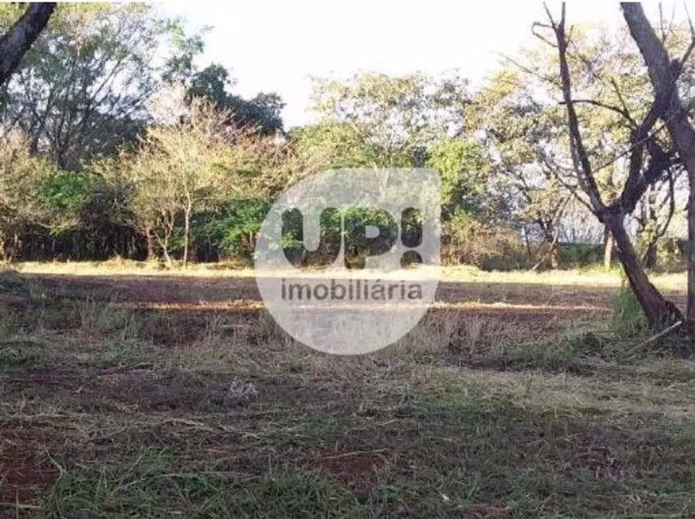 Depósito-Galpão, 25994 m² - Foto 4
