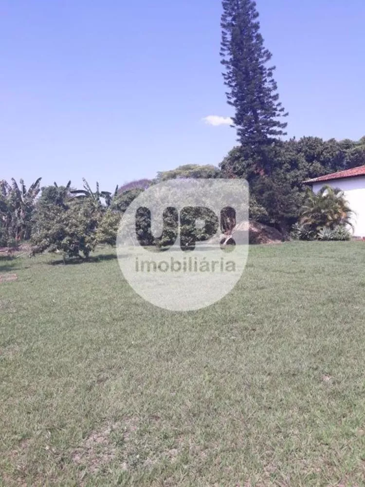Terreno, 5000 m² - Foto 4