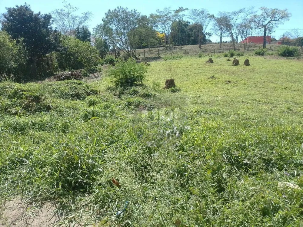 Terreno, 1000 m² - Foto 4