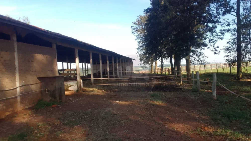 Fazenda, 17 hectares - Foto 9
