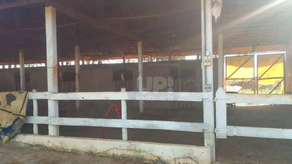 Fazenda, 17 hectares - Foto 11