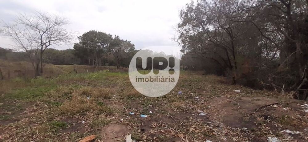 Loteamento e Condomínio, 2 hectares - Foto 3