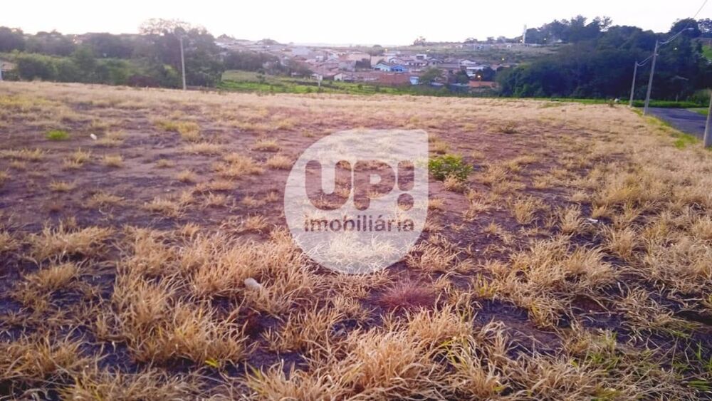 Terreno, 250 m² - Foto 3