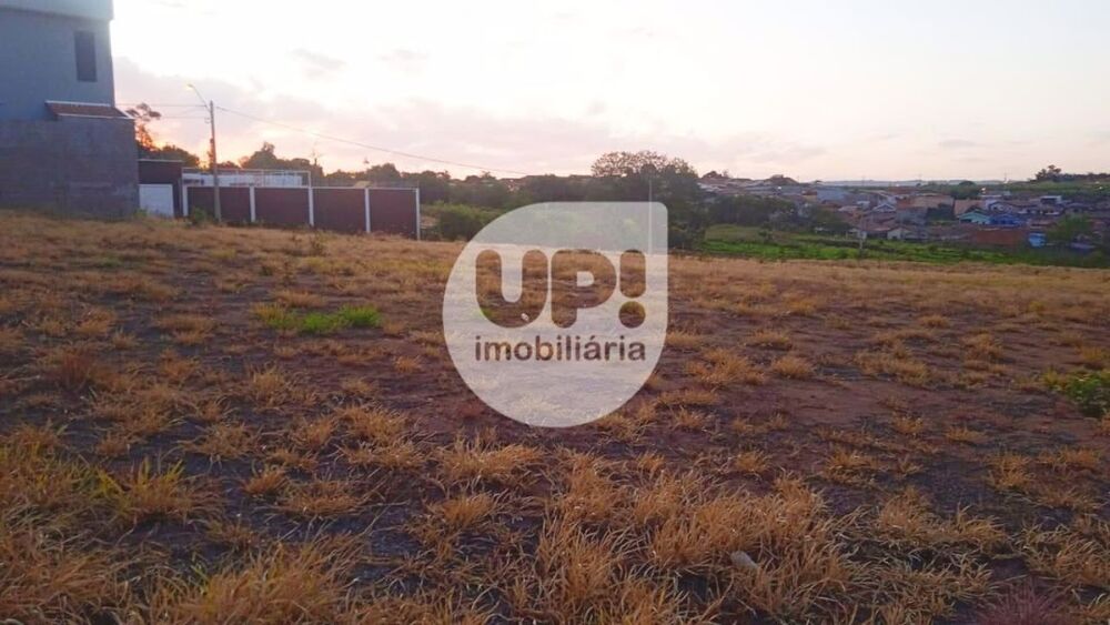 Terreno, 250 m² - Foto 4