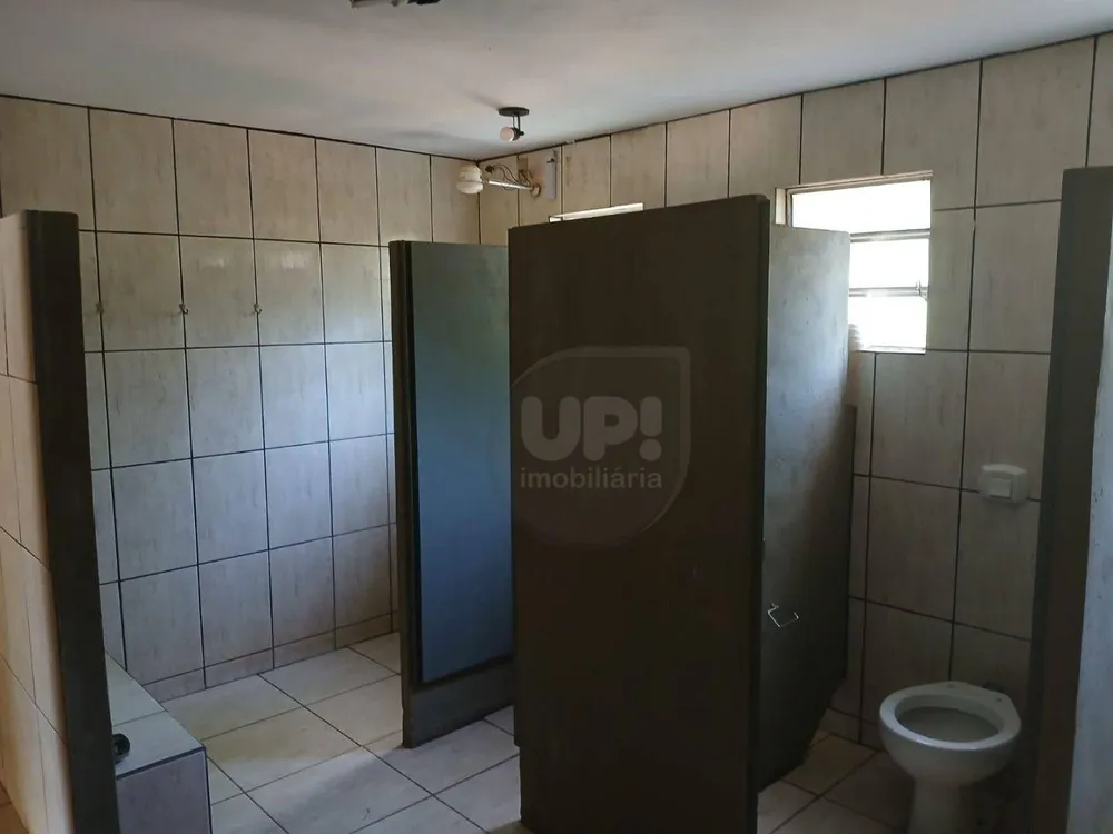 Chácara, 2 quartos, 2050 m² - Foto 7