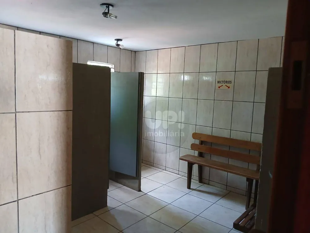 Chácara, 2 quartos, 2050 m² - Foto 6