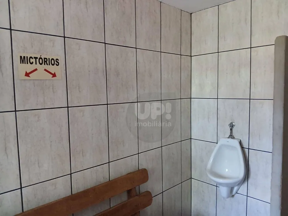 Chácara, 2 quartos, 2050 m² - Foto 9