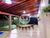 Chácara, 1 quarto, 250 m² - Foto 4