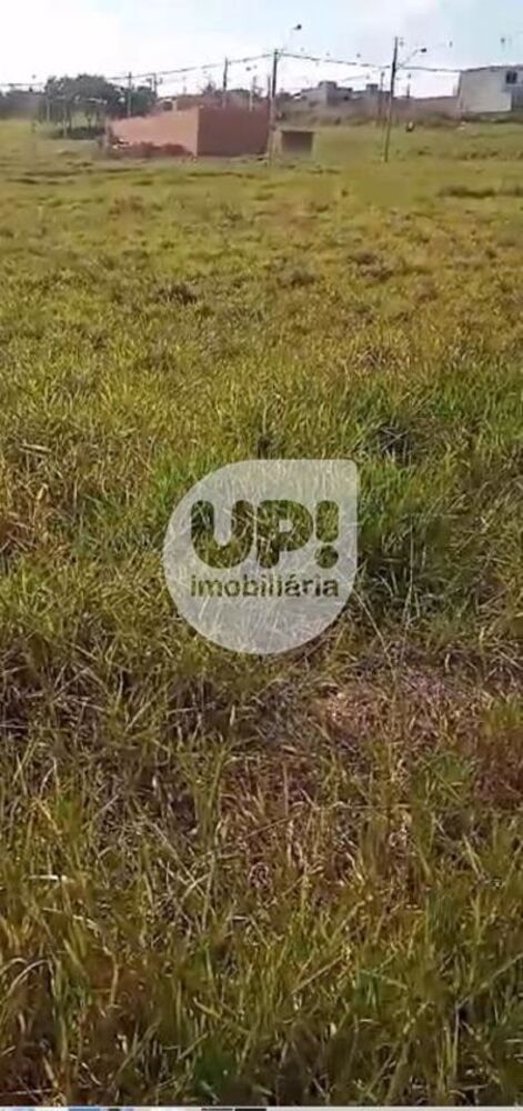 Loteamento e Condomínio, 250 m² - Foto 2