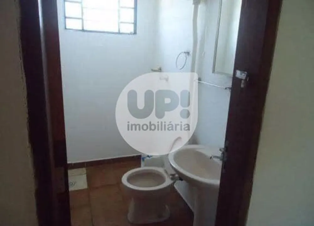 Chácara, 1 quarto, 4800 m² - Foto 3