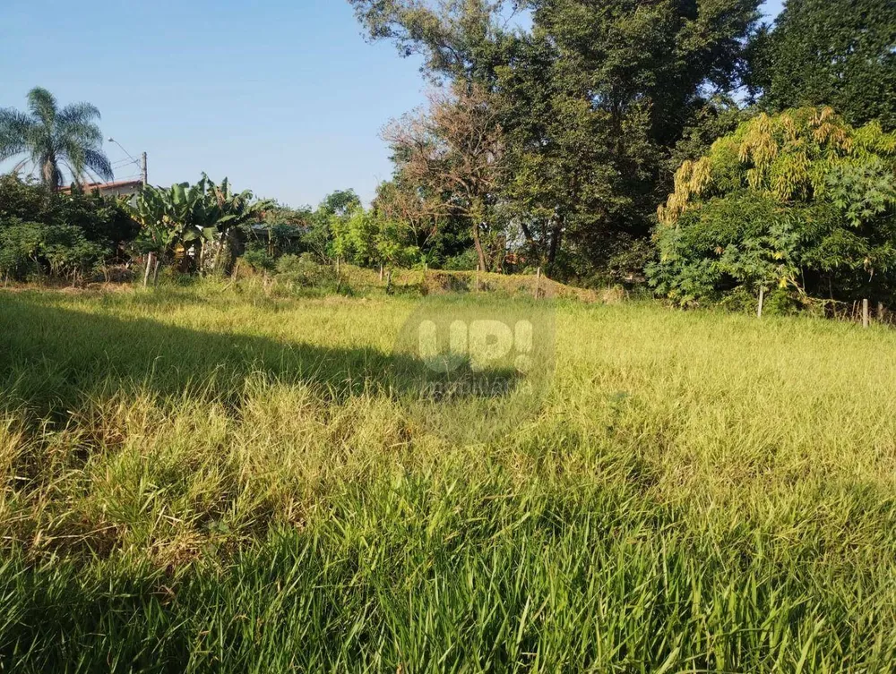 Terreno, 6050 m² - Foto 4