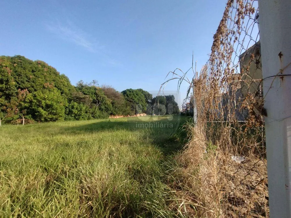Terreno, 6050 m² - Foto 3