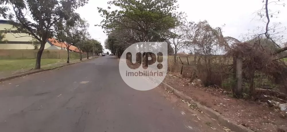 Loteamento e Condomínio, 2 hectares - Foto 2