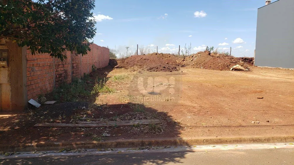 Terreno, 250 m² - Foto 3