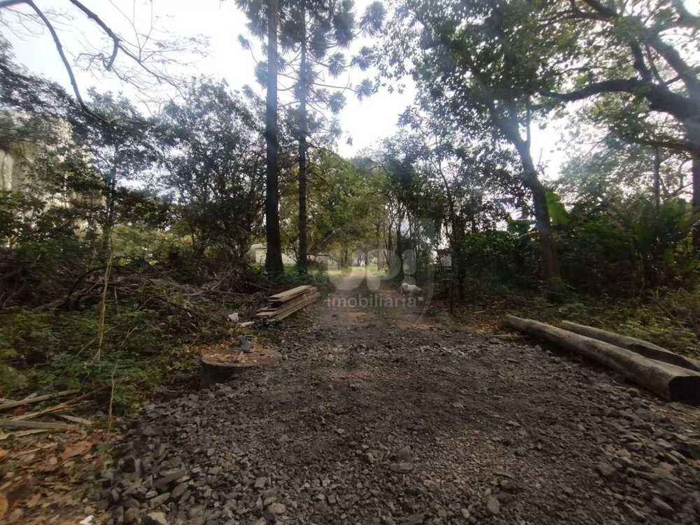Terreno, 3 hectares - Foto 2