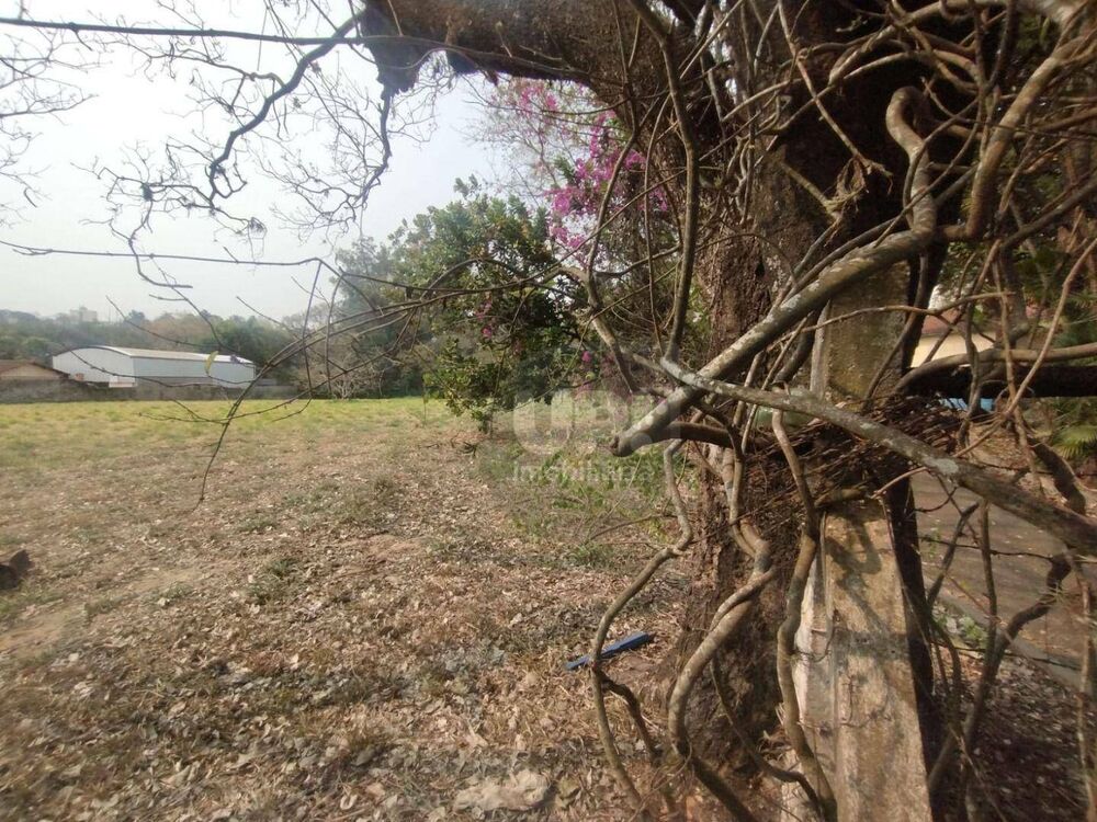 Terreno, 3 hectares - Foto 24