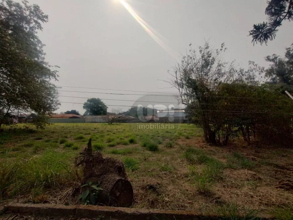 Terreno, 3 hectares - Foto 1