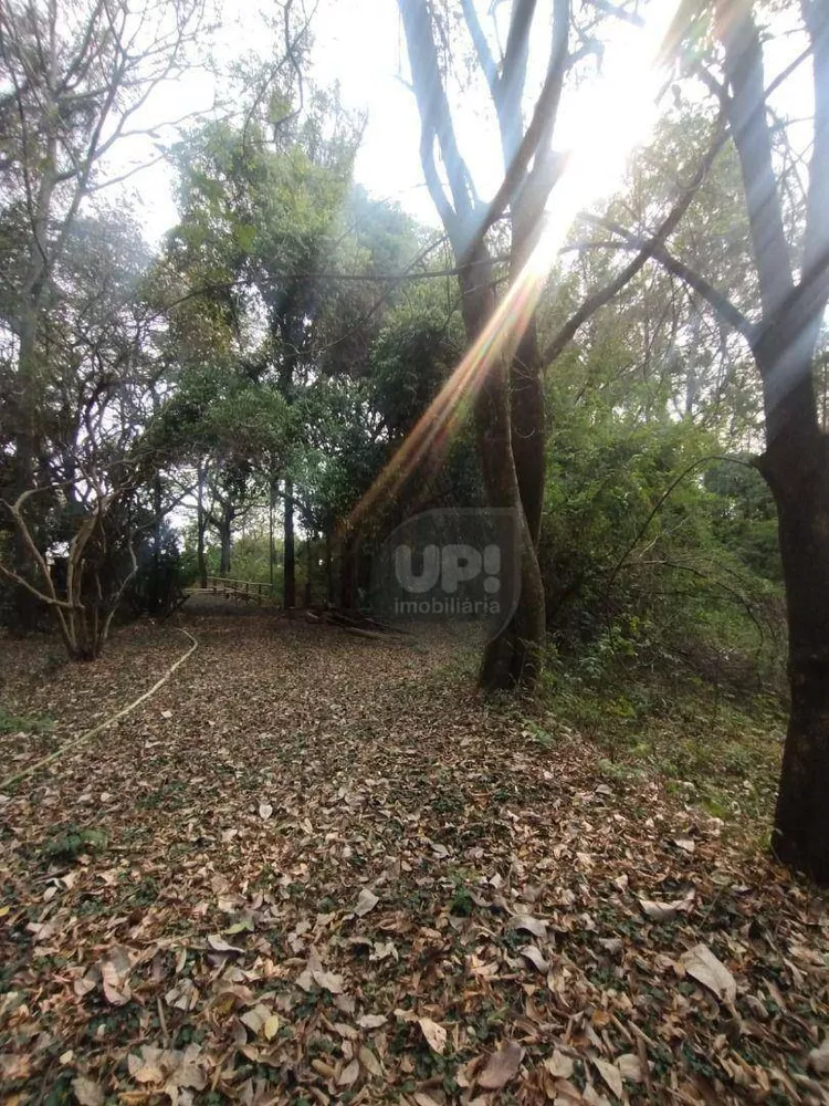 Terreno, 3 hectares - Foto 14