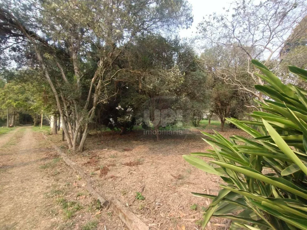 Terreno, 3 hectares - Foto 4