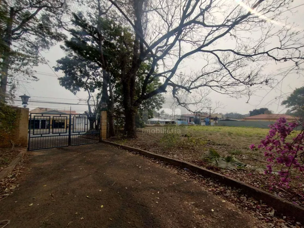 Terreno, 3 hectares - Foto 11