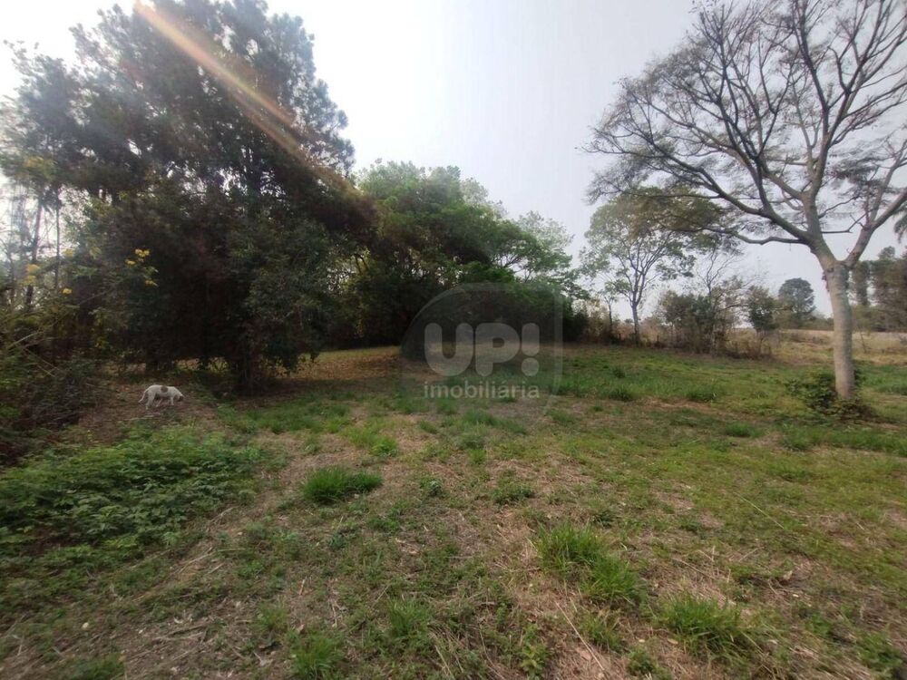 Terreno, 3 hectares - Foto 21