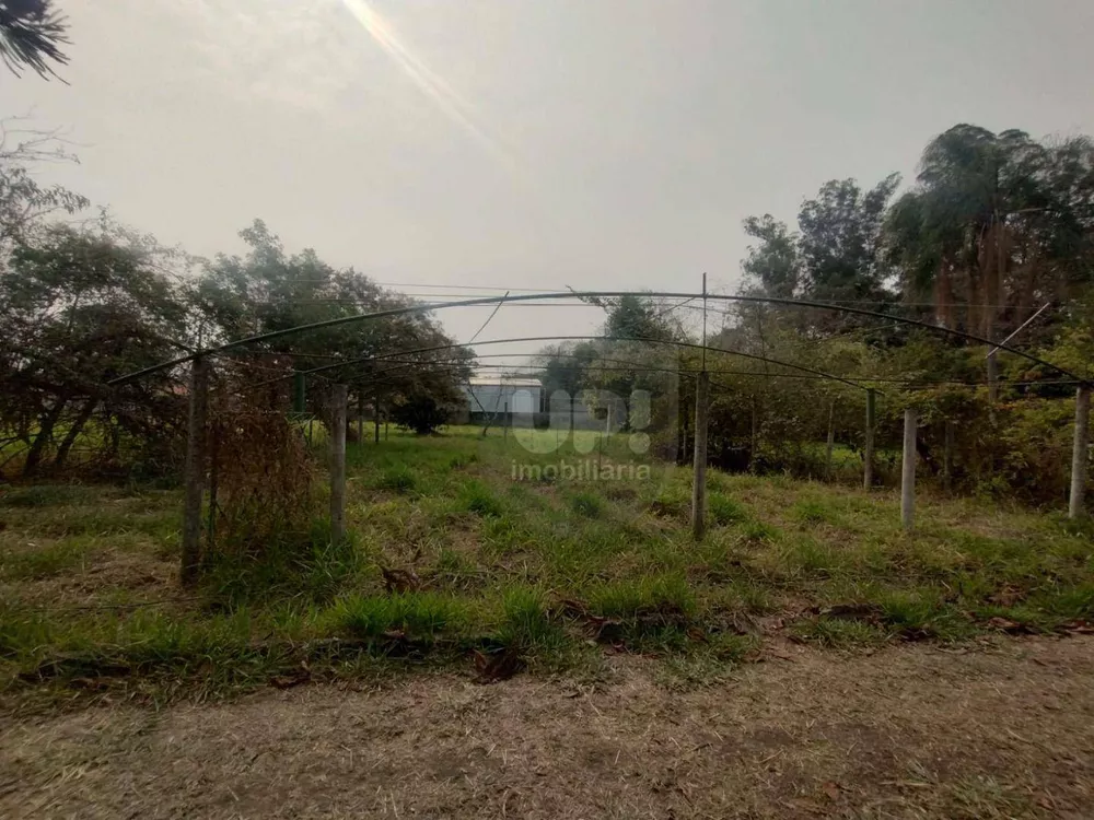 Terreno, 3 hectares - Foto 17