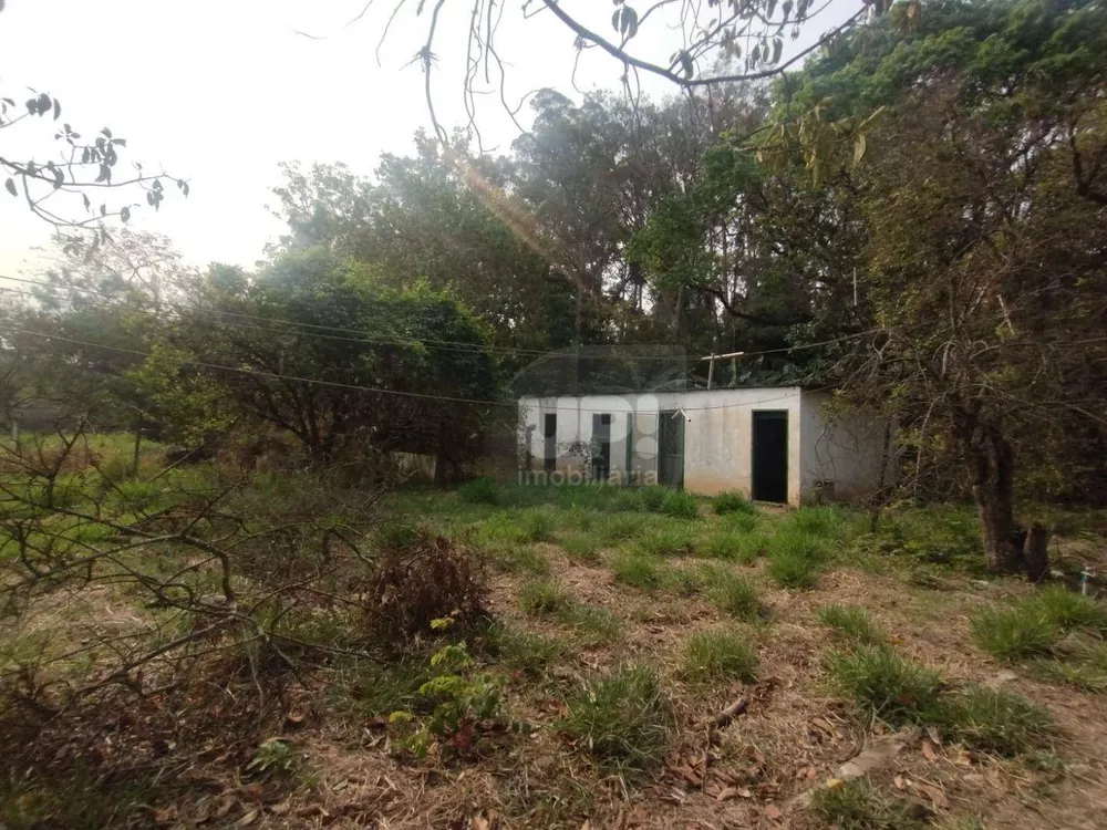 Terreno, 3 hectares - Foto 6