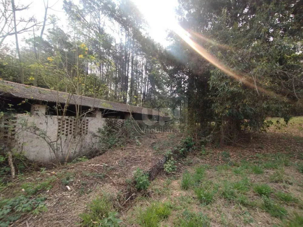 Terreno, 3 hectares - Foto 9