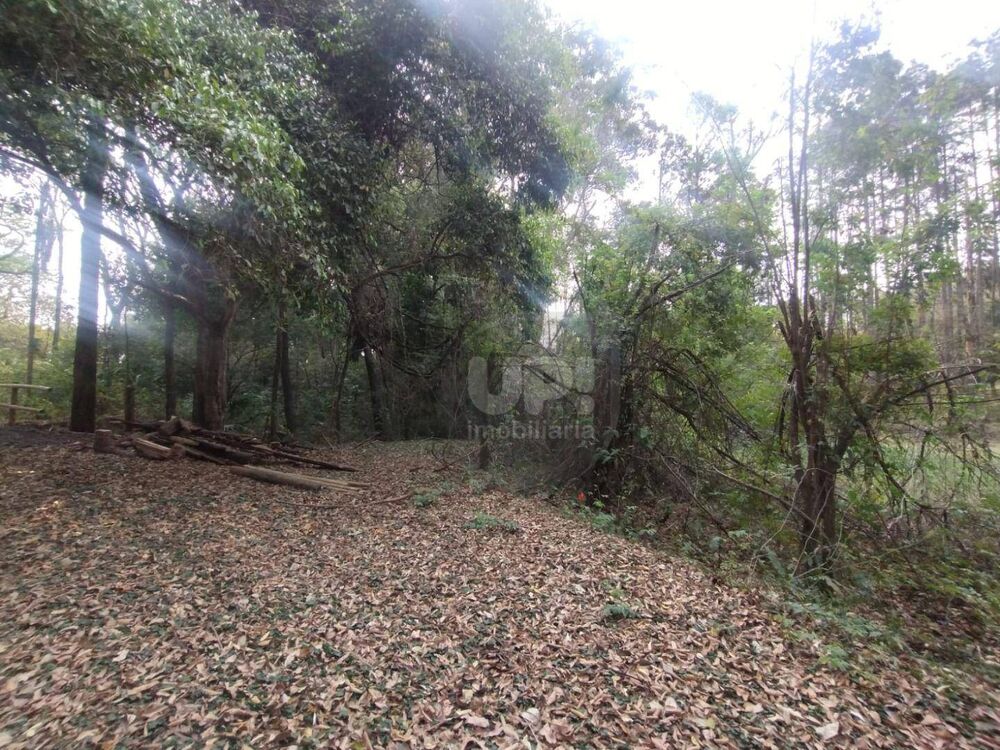 Terreno, 3 hectares - Foto 29