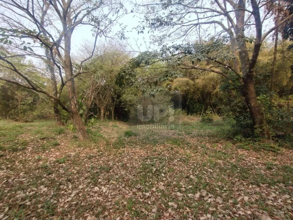 Terreno, 3 hectares - Foto 8