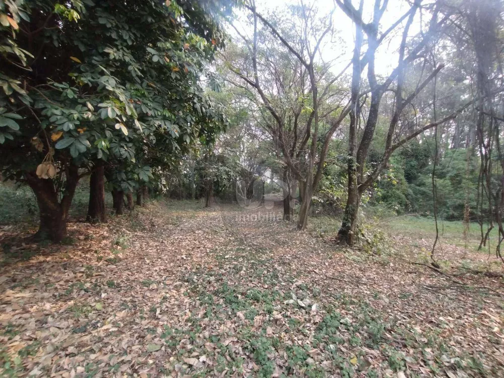 Terreno, 3 hectares - Foto 7