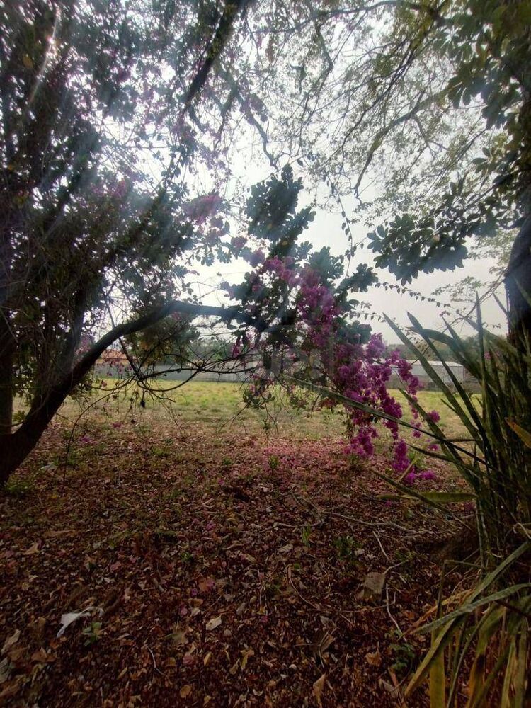 Terreno, 3 hectares - Foto 23