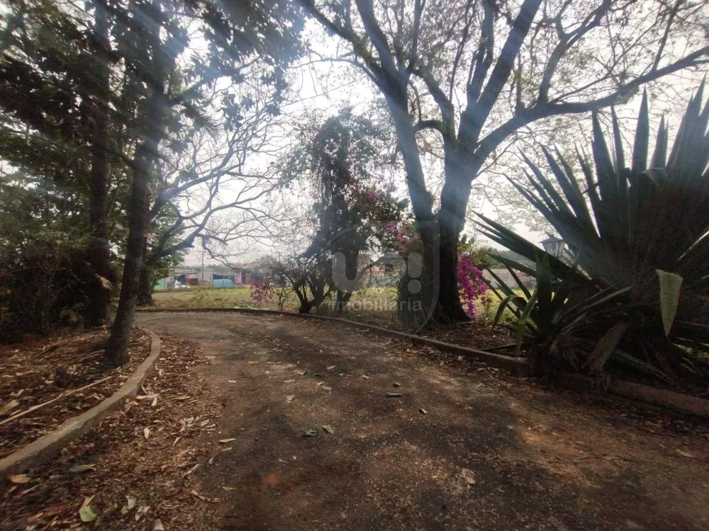 Terreno, 3 hectares - Foto 10