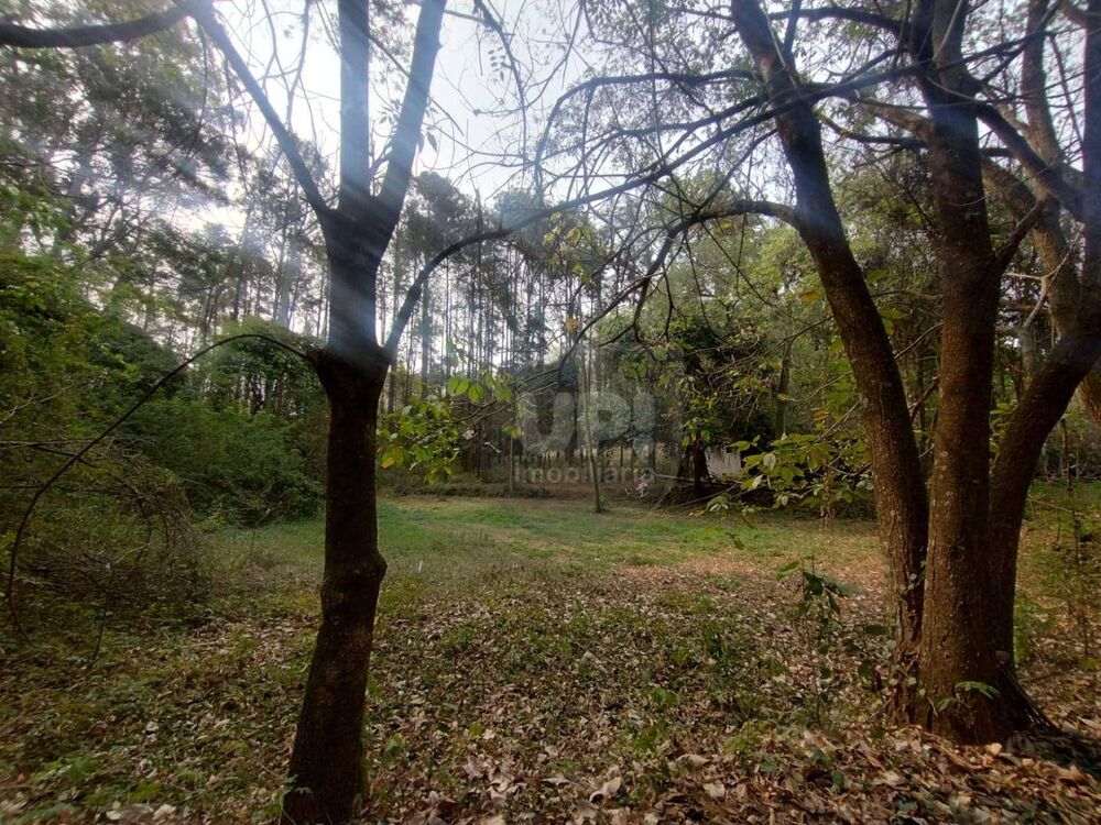 Terreno, 3 hectares - Foto 25