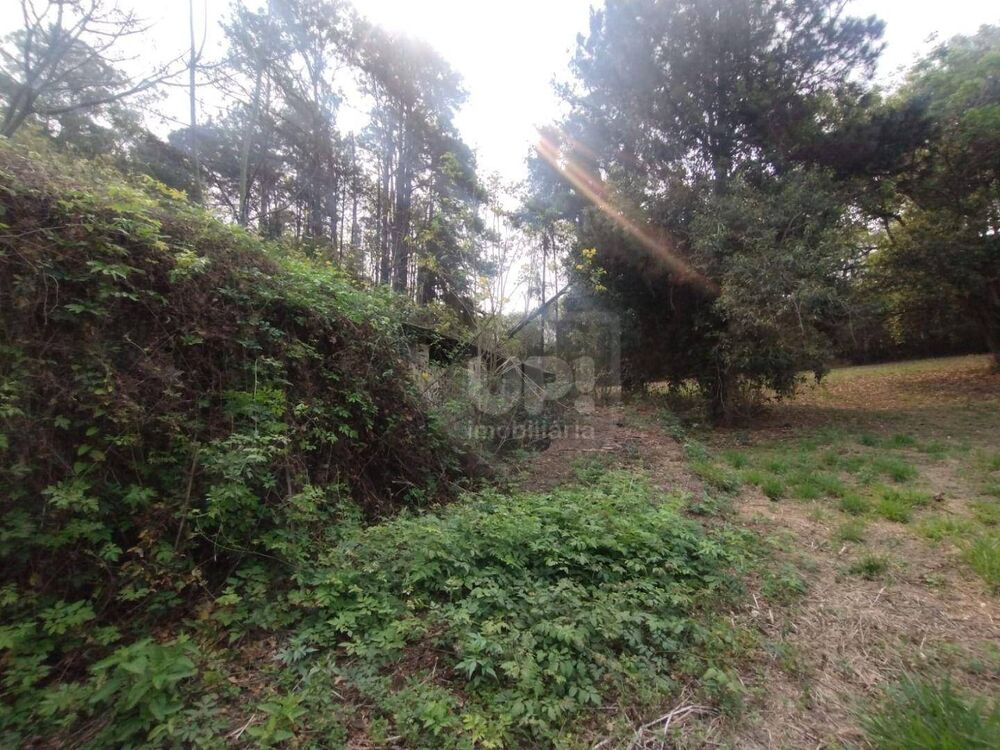 Terreno, 3 hectares - Foto 27