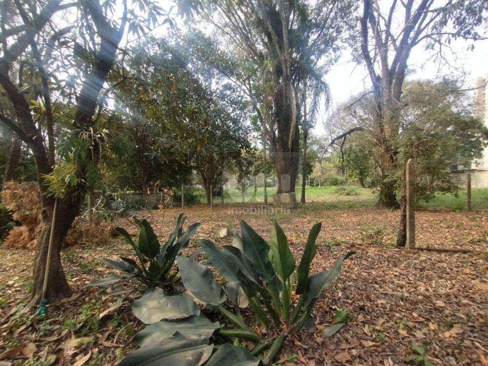 Terreno, 3 hectares - Foto 28