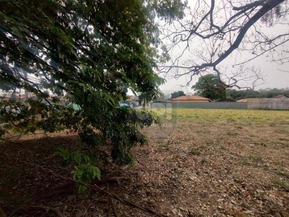 Terreno, 3 hectares - Foto 22
