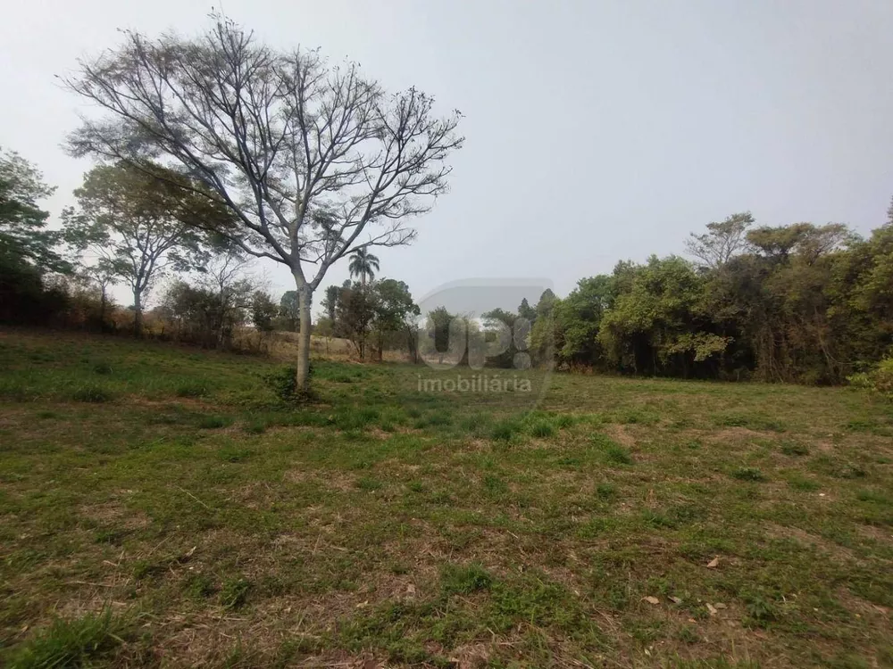 Terreno, 3 hectares - Foto 12
