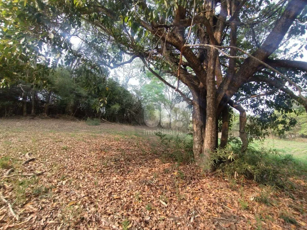 Terreno, 3 hectares - Foto 18