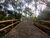 Terreno, 3 hectares - Foto 1