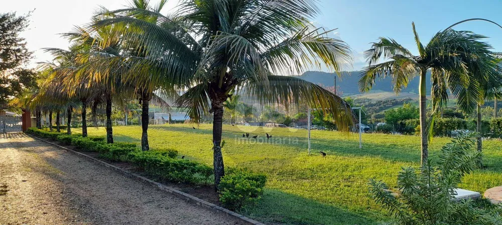 Chácara, 4 quartos, 5000 m² - Foto 10