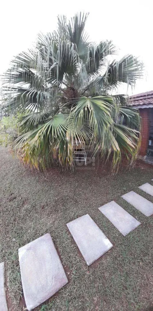 Chácara, 4 quartos, 5000 m² - Foto 5